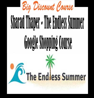 Sharad-Thaper--The-Endless-Summer-Google-Shopping-Course
