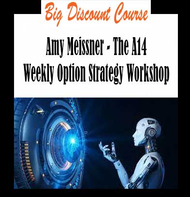 Amy Meissner - The A14 Weekly Option Strategy Workshop