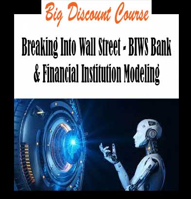 Breaking Into Wall Street - BIWS Bank & Financial Institution Modeling