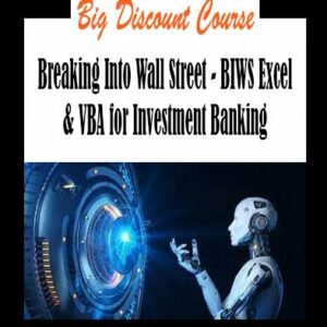 Breaking Into Wall Street - BIWS Excel & VBA for Investment Banking