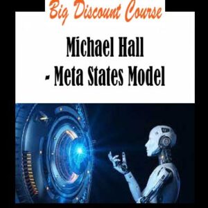 Michael Hall - Meta States Model